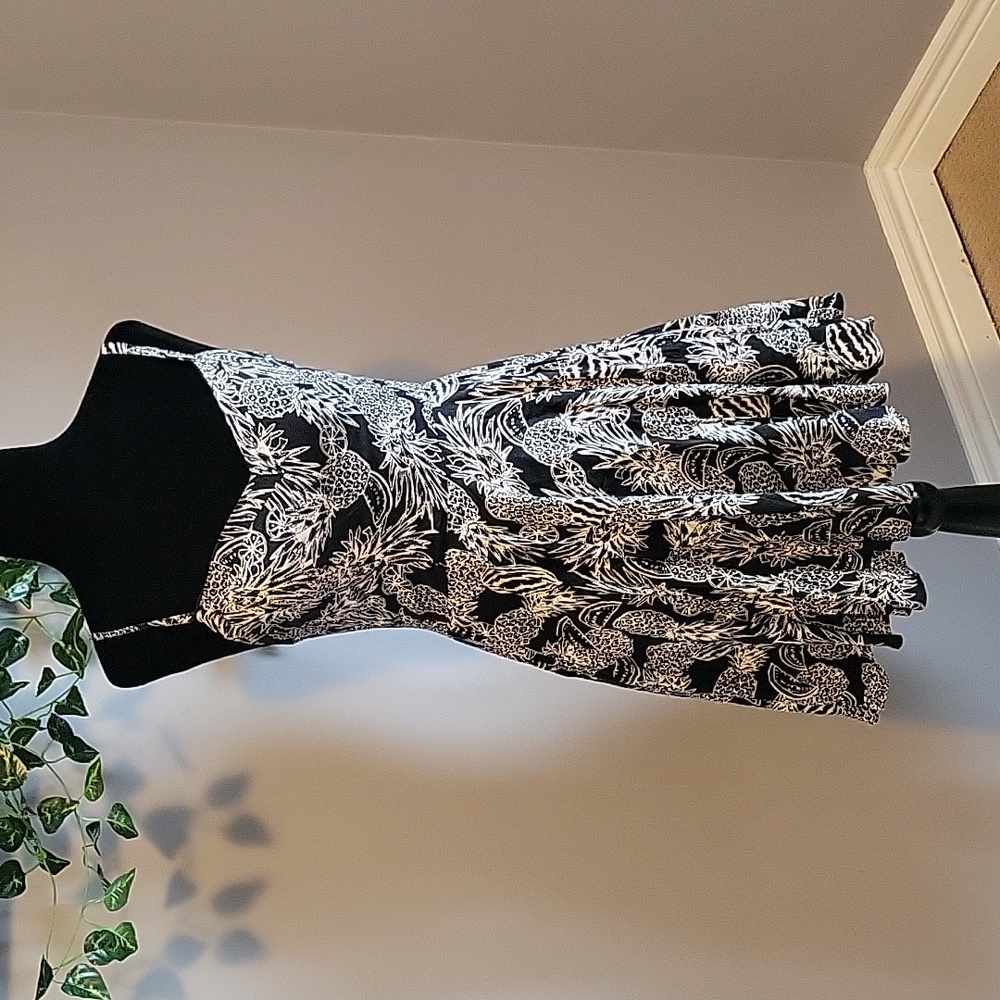 Aritzia Talula LAPINSKI Skater Dress